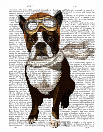 Picture of BOSTON TERRIER FLYING ACE