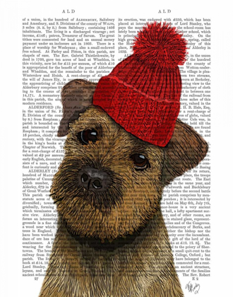 Picture of BORDER TERRIER WITH RED BOBBLE HAT