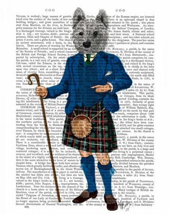 Picture of WEST HIGHLAND TERRIER IN KILT