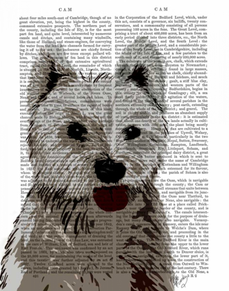 Picture of WEST HIGHLAND TERRIER PLAIN