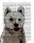 Picture of WEST HIGHLAND TERRIER PLAIN