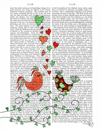 Picture of LOVE BIRDS ILLUSTRATION