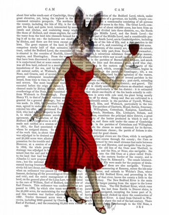 Picture of RABBIT IN RED DRESS