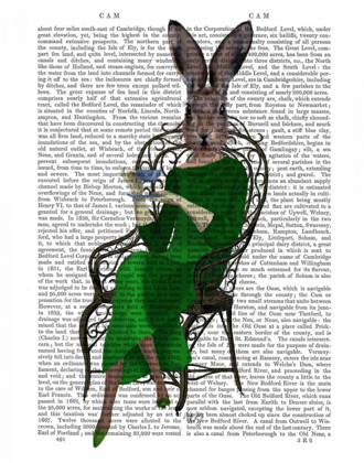 Picture of LADY BELLA RABBIT TAKING TEA