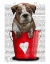 Picture of BULLDOG BUCKET OF LOVE RED