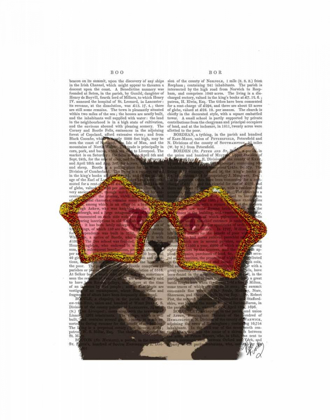 Picture of KITTEN IN STAR SUNGLASSES