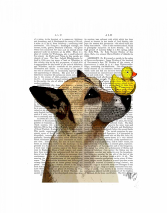 Picture of GERMAN SHEPHERD DOG AND DUCK