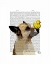 Picture of GERMAN SHEPHERD DOG AND DUCK