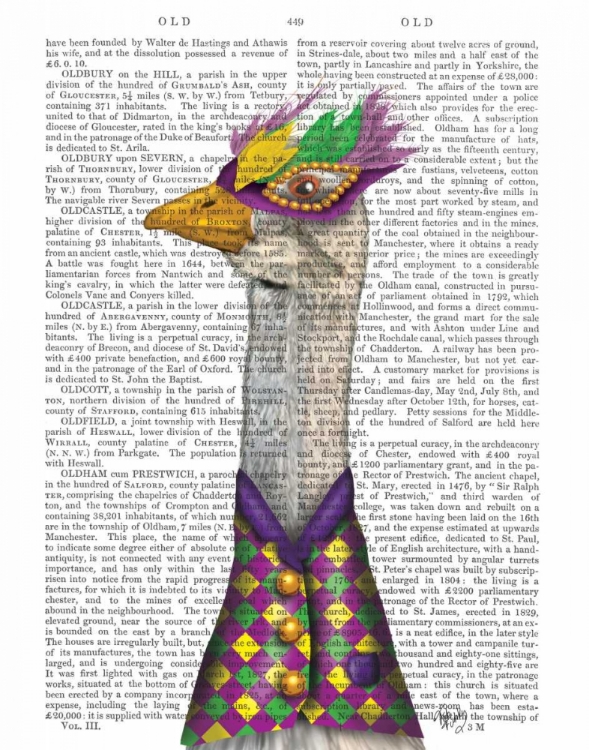 Picture of MARDI GRAS GOOSE HARLEQUIN JACKET