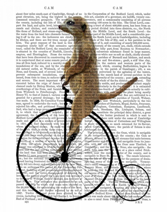 Picture of MEERKAT ON BLACK PENNY FARTHING