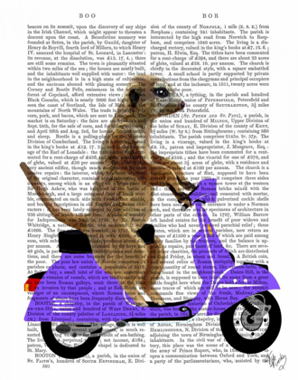 Picture of MEERKAT ON LILAC MOPED