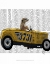 Picture of MEERKAT IN HOT ROD