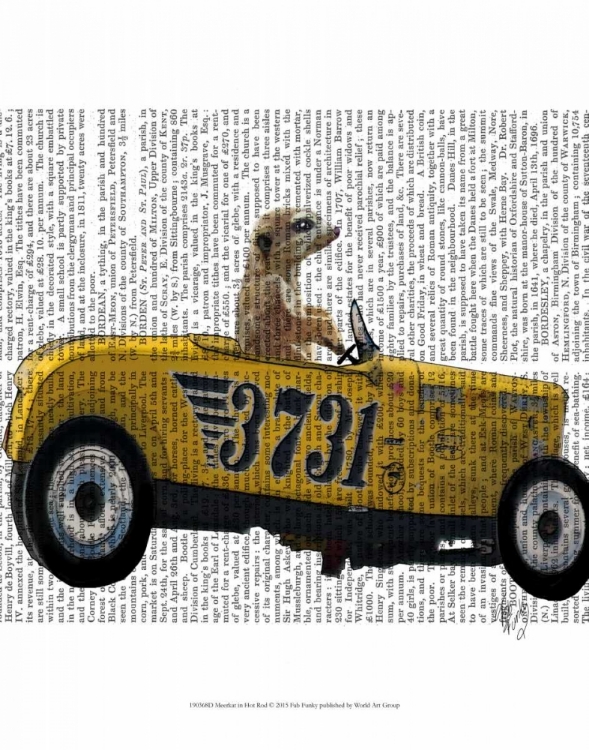 Picture of MEERKAT IN HOT ROD