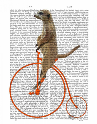 Picture of MEERKAT ON ORANGE PENNY FARTHING