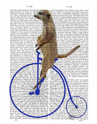 Picture of MEERKAT ON BLUE PENNY FARTHING