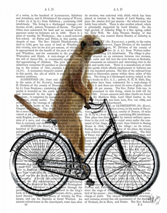 Picture of MEERKAT ON BICYCLE