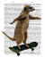 Picture of MEERKAT ON SKATEBOARD