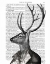 Picture of DEER PORTRAIT 2