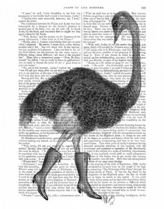 Picture of OSTRICH IN BOOTS