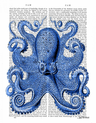 Picture of VINTAGE BLUE OCTOPUS 1  FRONT