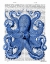 Picture of VINTAGE BLUE OCTOPUS 1  FRONT