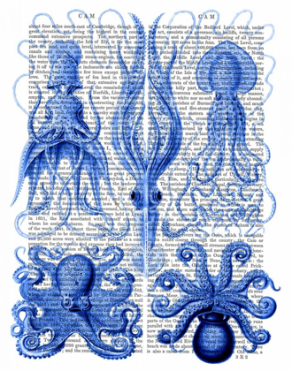 Picture of OCTOPUS AND SQUID BLUE