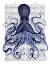 Picture of BLUE OCTOPUS 3
