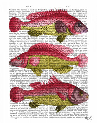 Picture of RED AND YELLOW FANTASY FISH TRIO