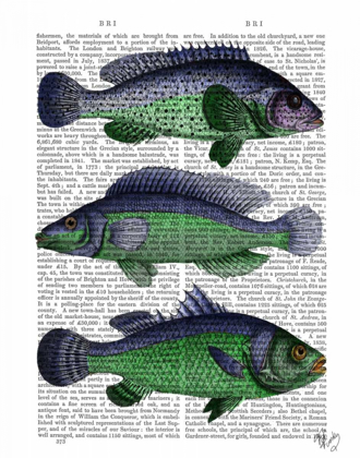 Picture of BLUE AND GREEN FISH TRIO