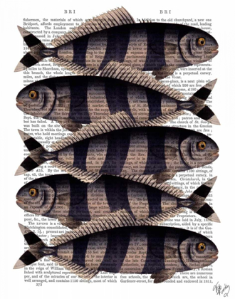 Picture of FIVE STRIPED FISH