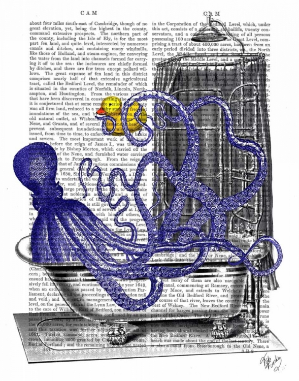 Picture of OCTOPUS IN BATH
