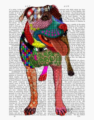 Picture of STAFFORDSHIRE BULL TERRIER - PATCHWORK