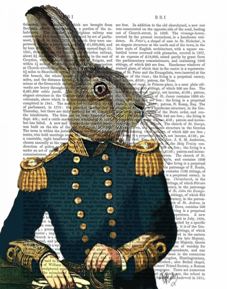 Picture of LIEUTENANT HARE