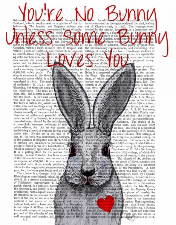Picture of YOURE NO BUNNY
