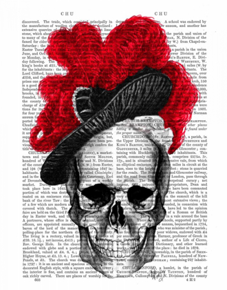 Picture of SKULL WITH RED HAT