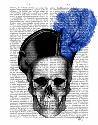 Picture of SKULL WITH BLUE HAT