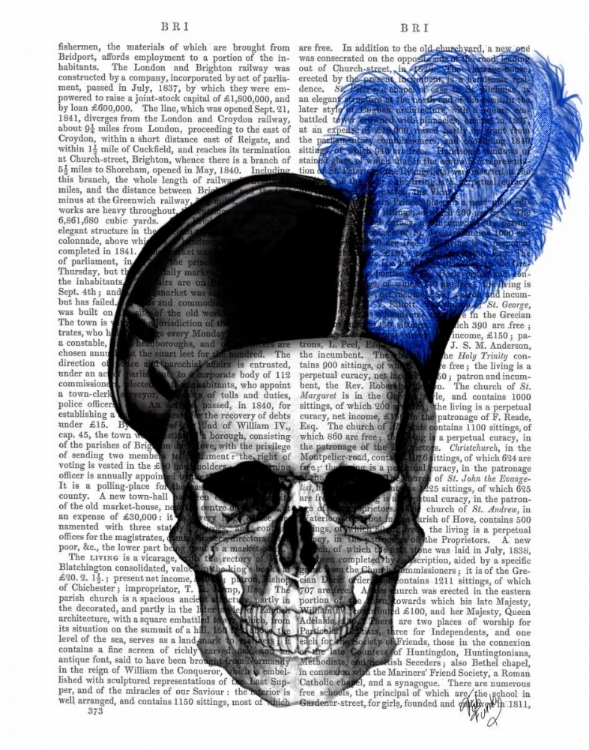 Picture of SKULL WITH BLUE HAT
