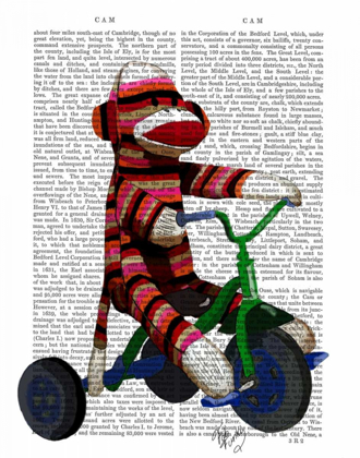 Picture of SOCK MONKEY ON TRICYCLE