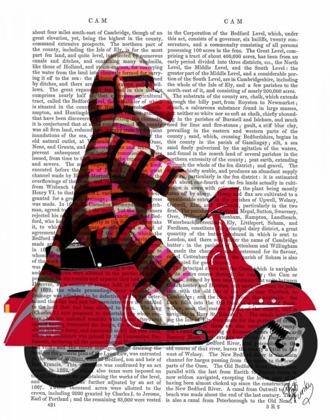Picture of SOCK MONKEY ON MOPED