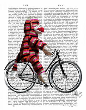 Picture of SOCK MONKEY ON BICYCLE