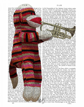 Picture of SOCK MONKEY PLAYING TRUMPET