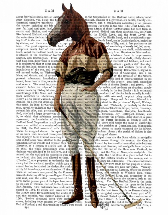 Picture of POLO HORSE FULL