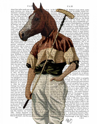 Picture of POLO HORSE PORTRAIT