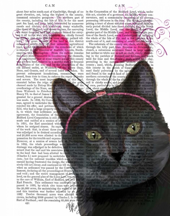 Picture of BLACK CAT VALENTINES