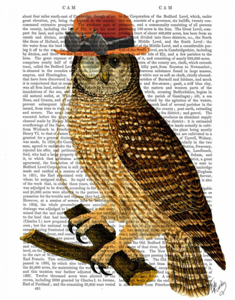 Picture of OWL WITH STEAMPUNK STYLE BOWLER HAT