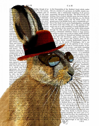 Picture of STEAMPUNK HARE WITH BOWLER HAT