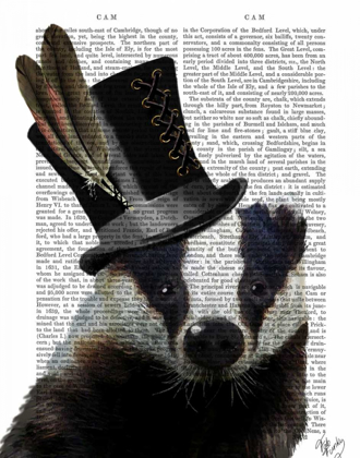 Picture of STEAMPUNK BADGER IN TOP HAT