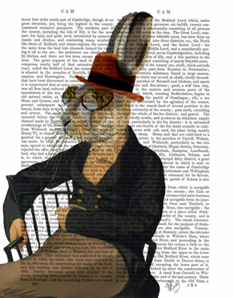Picture of HORATIO HARE ON CHAIR