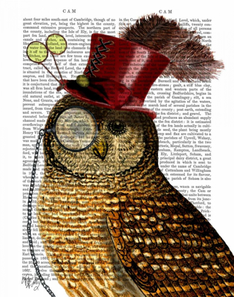 Picture of OWL WITH TOP HAT