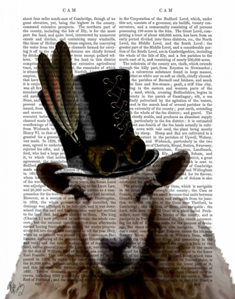 Picture of STEAMPUNK SHEEP